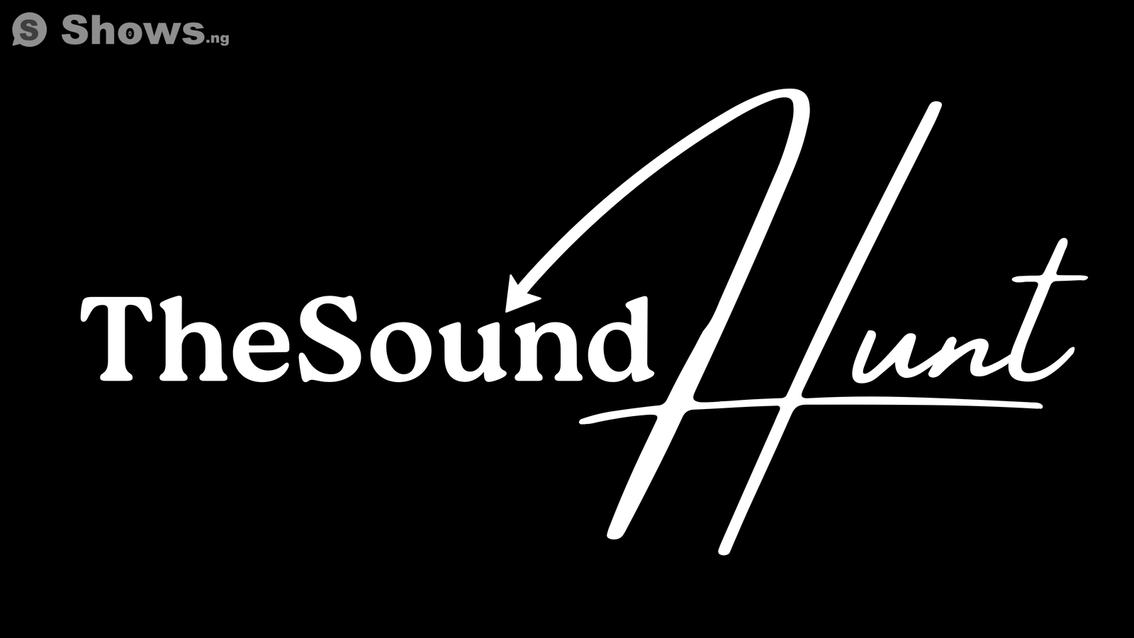 The Sound Hunt Finale
